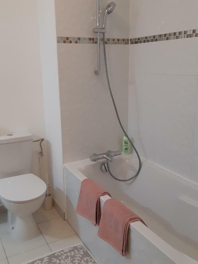 Le Carre Des Fleurs Apartamento Estrasburgo Exterior foto