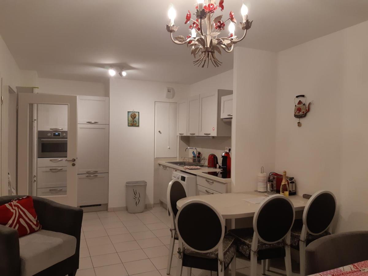 Le Carre Des Fleurs Apartamento Estrasburgo Exterior foto